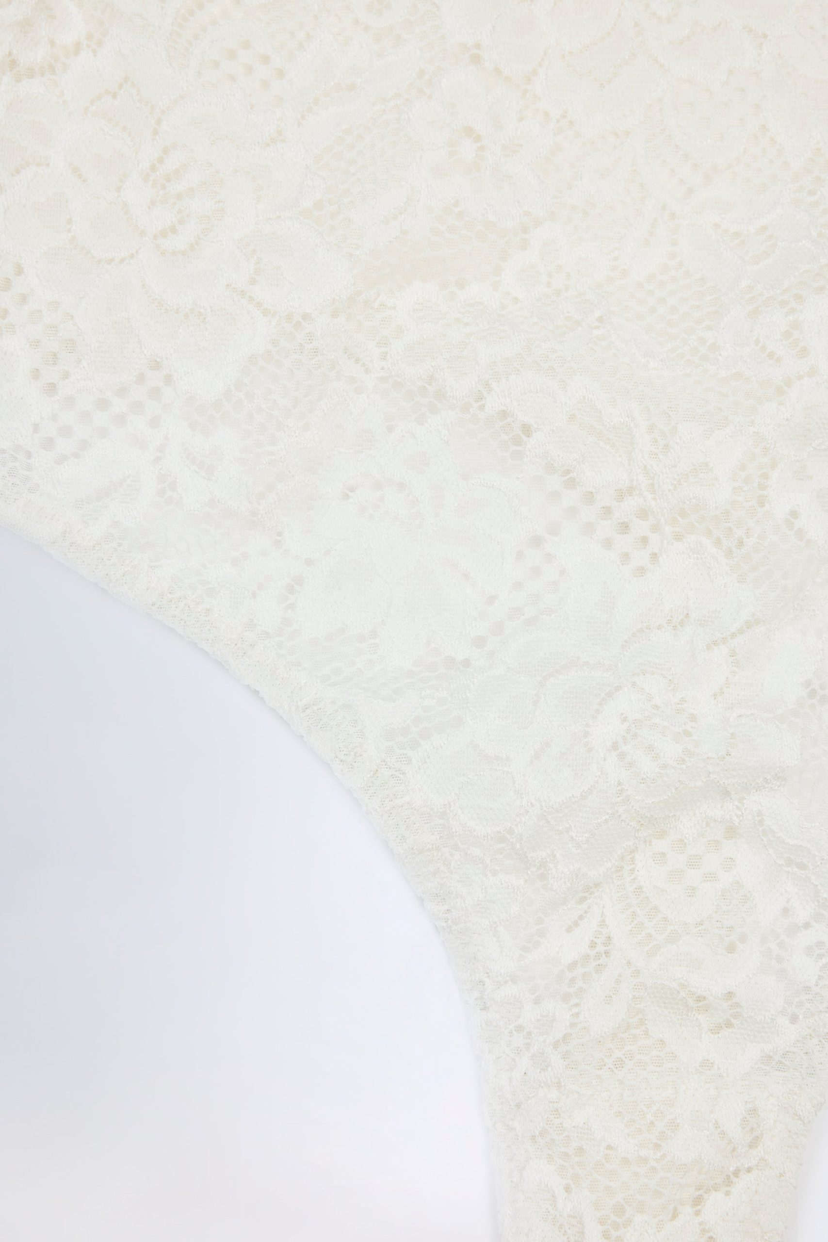 Sheer Lace Scalloped Plunge-Neck Bodysuit in White - Image 10