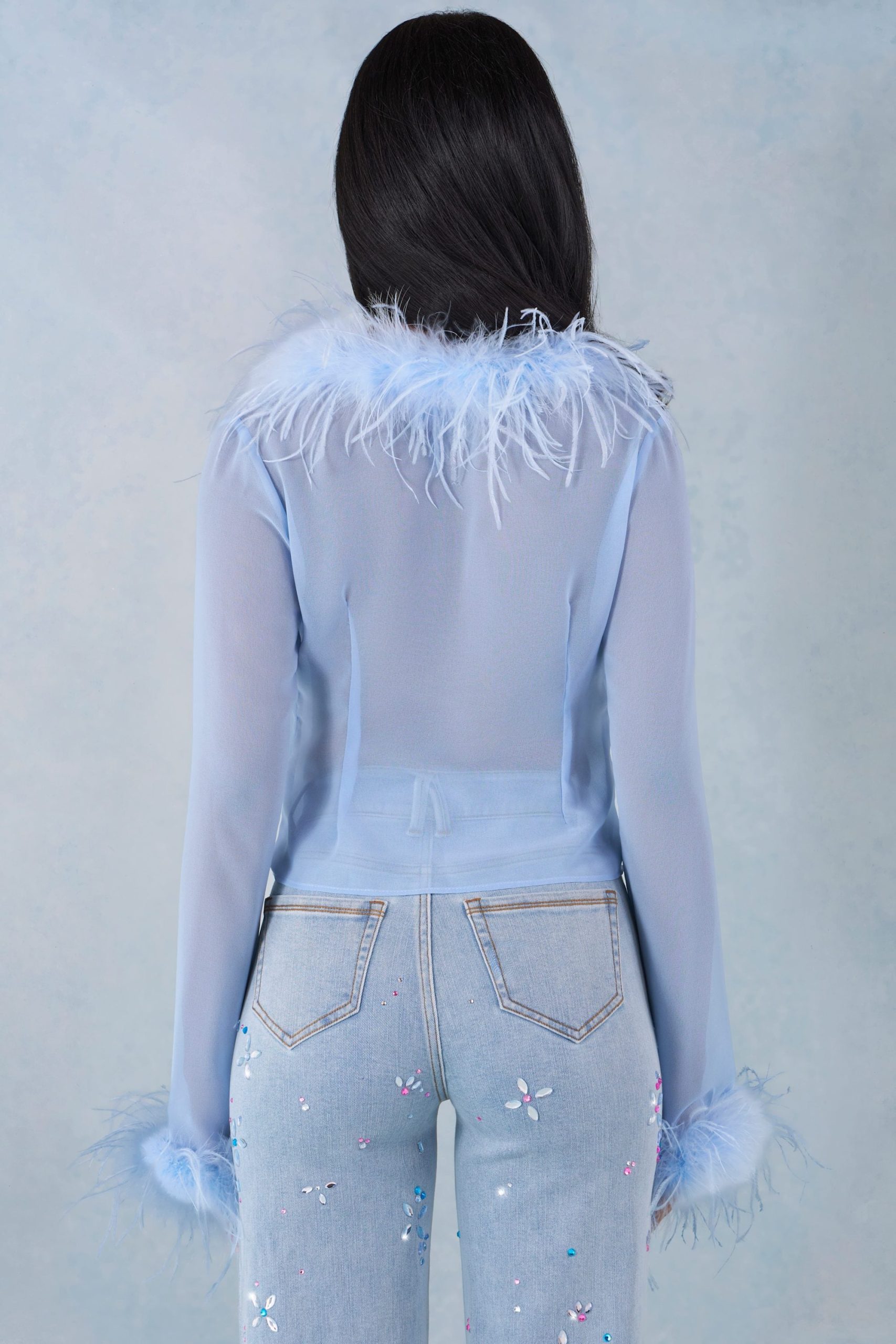 Feather Trim Sheer Top in Soft Blue - Image 5