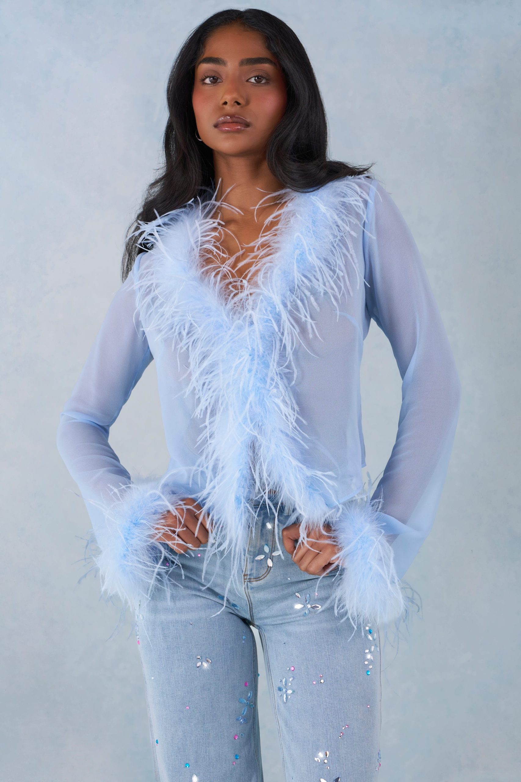 Feather Trim Sheer Top in Soft Blue - Image 6