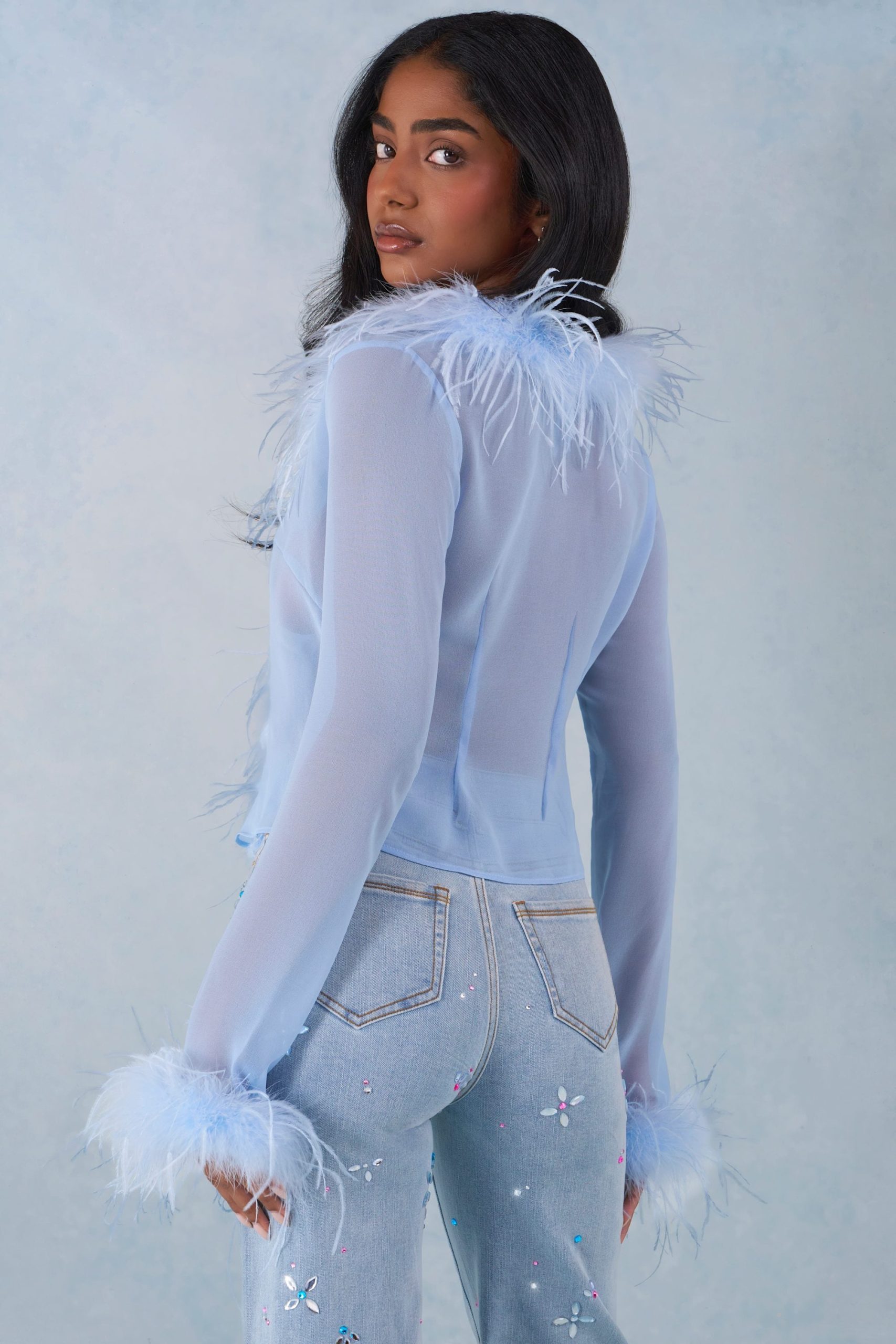 Feather Trim Sheer Top in Soft Blue - Image 2