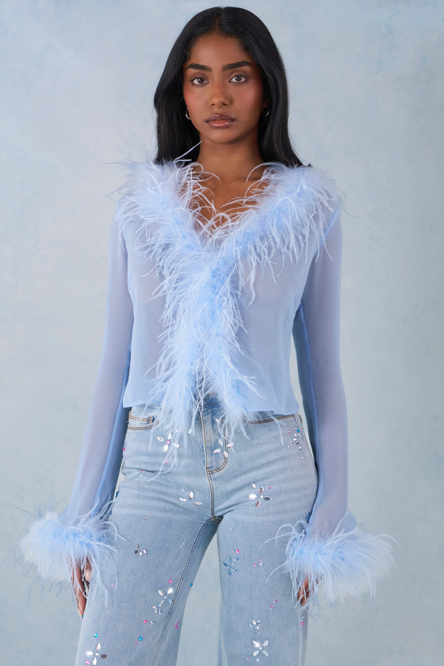 Feather Trim Sheer Top in Soft Blue - Image 4