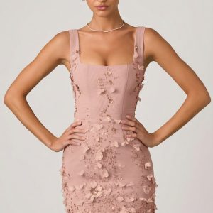 Embellished Appliqu?? Corset Mini Dress in Dusty Rose